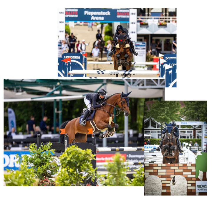 marie ligges derby community collage reiten pferd marie ligges derby community collage reiten pferd